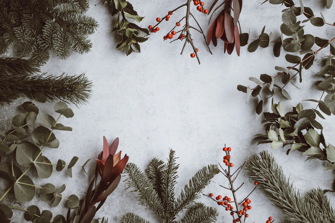 Eco-Friendly Christmas Sustainable Celebrations