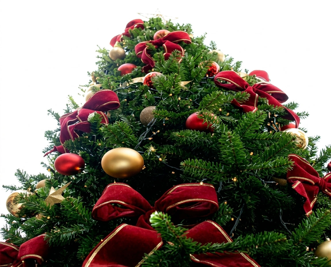 Christmas Trees