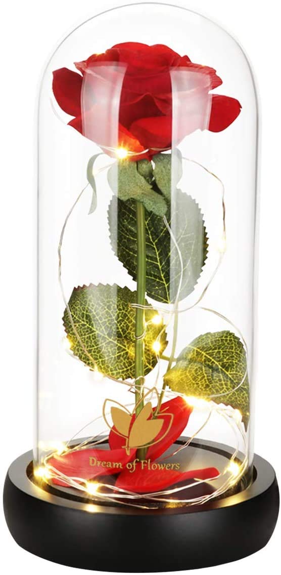 Beauty and The Beast Rose for Mom, Birthday Gifts for Women, Light Up Roses, Glass Dome Rose with LED Lights, Red Roses, Women's Gift for Mom Wife Grandmother