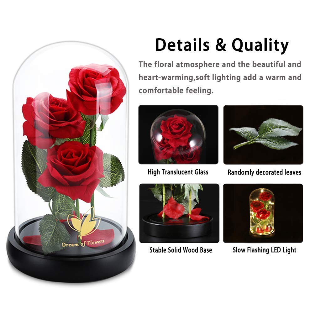 Beauty and The Beast Rose for Mom, Birthday Gifts for Women, Light Up Roses, Glass Dome Rose with LED Lights, Red Roses, Women's Gift for Mom Wife Grandmother