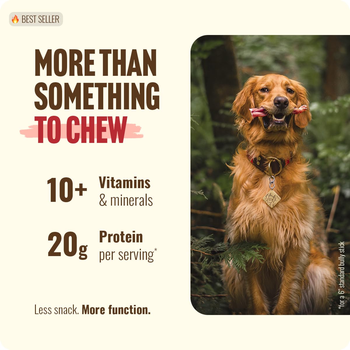 Natural Farm Bully Sticks (6 Inch, 15 Count), Single Ingredient: 100% Beef Chews, Grass-Fed, Non-GMO, Grain-Free, Fully Digestible Treats for Puppies, Small or Senior Dog