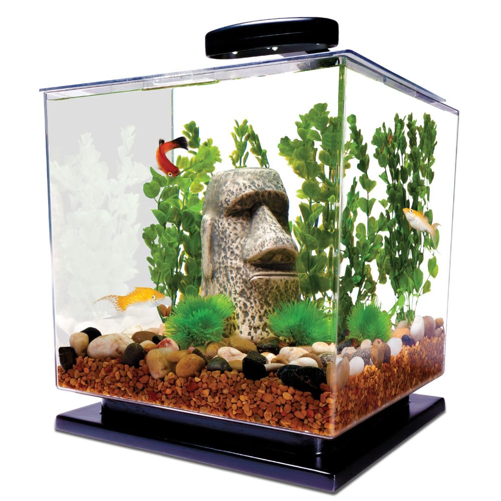Tetra Bubbling LED Aquarium Kit 1 Gallon, Hexagon Shape, With Color-Changing Light Disc