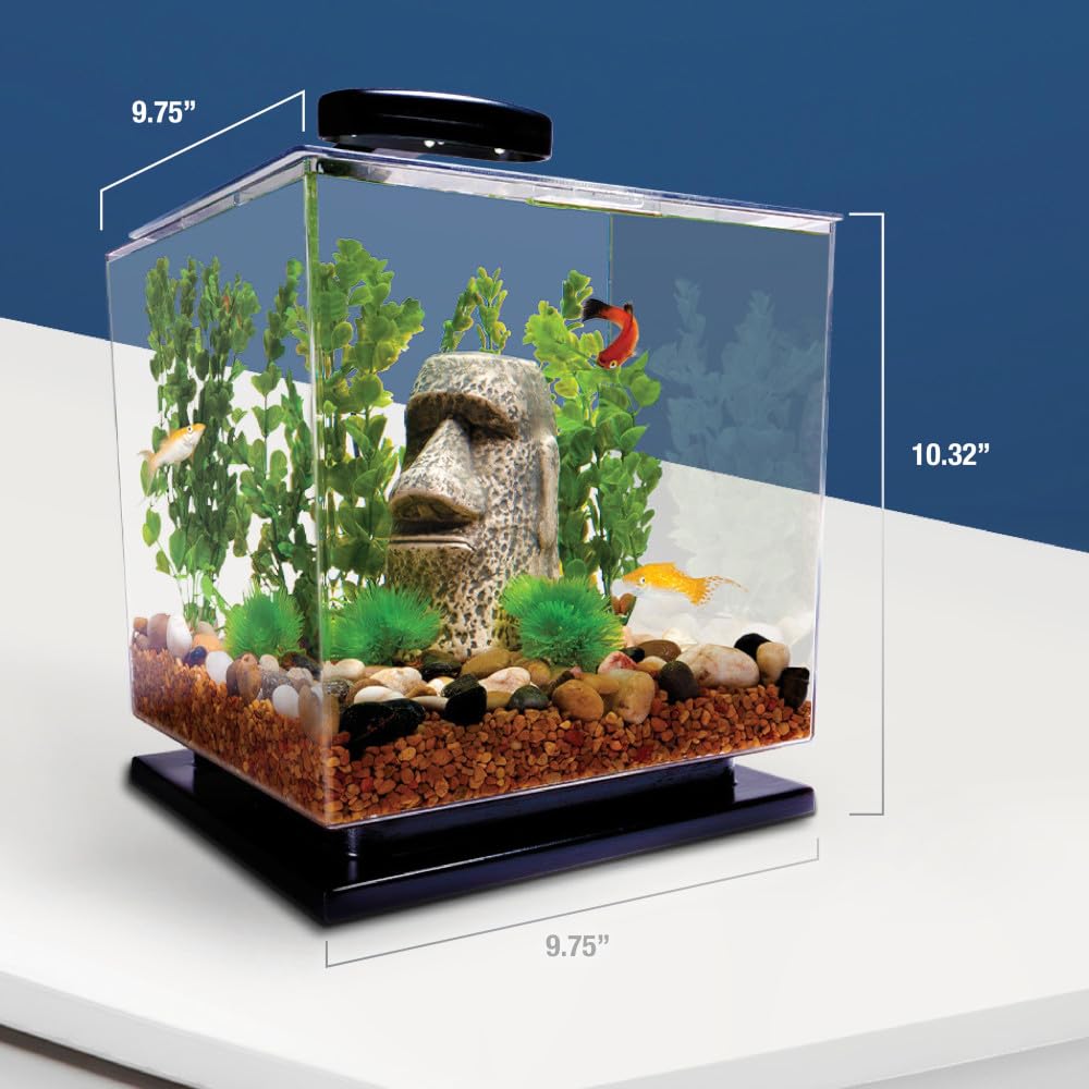Tetra Bubbling LED Aquarium Kit 1 Gallon, Hexagon Shape, With Color-Changing Light Disc