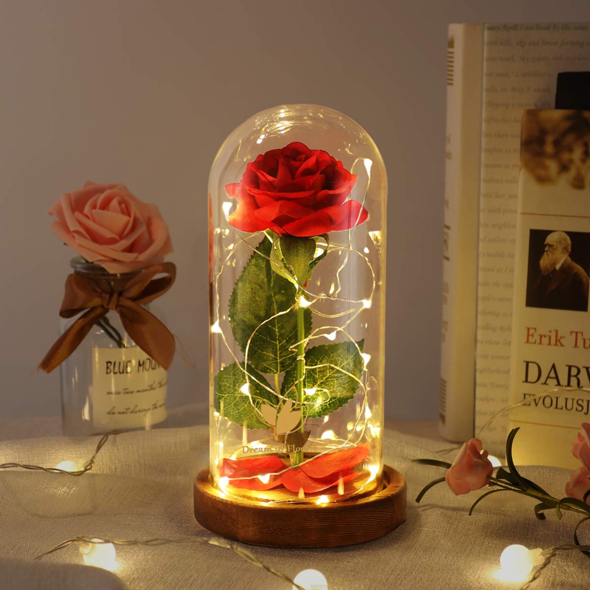 Beauty and The Beast Rose for Mom, Birthday Gifts for Women, Light Up Roses, Glass Dome Rose with LED Lights, Red Roses, Women's Gift for Mom Wife Grandmother