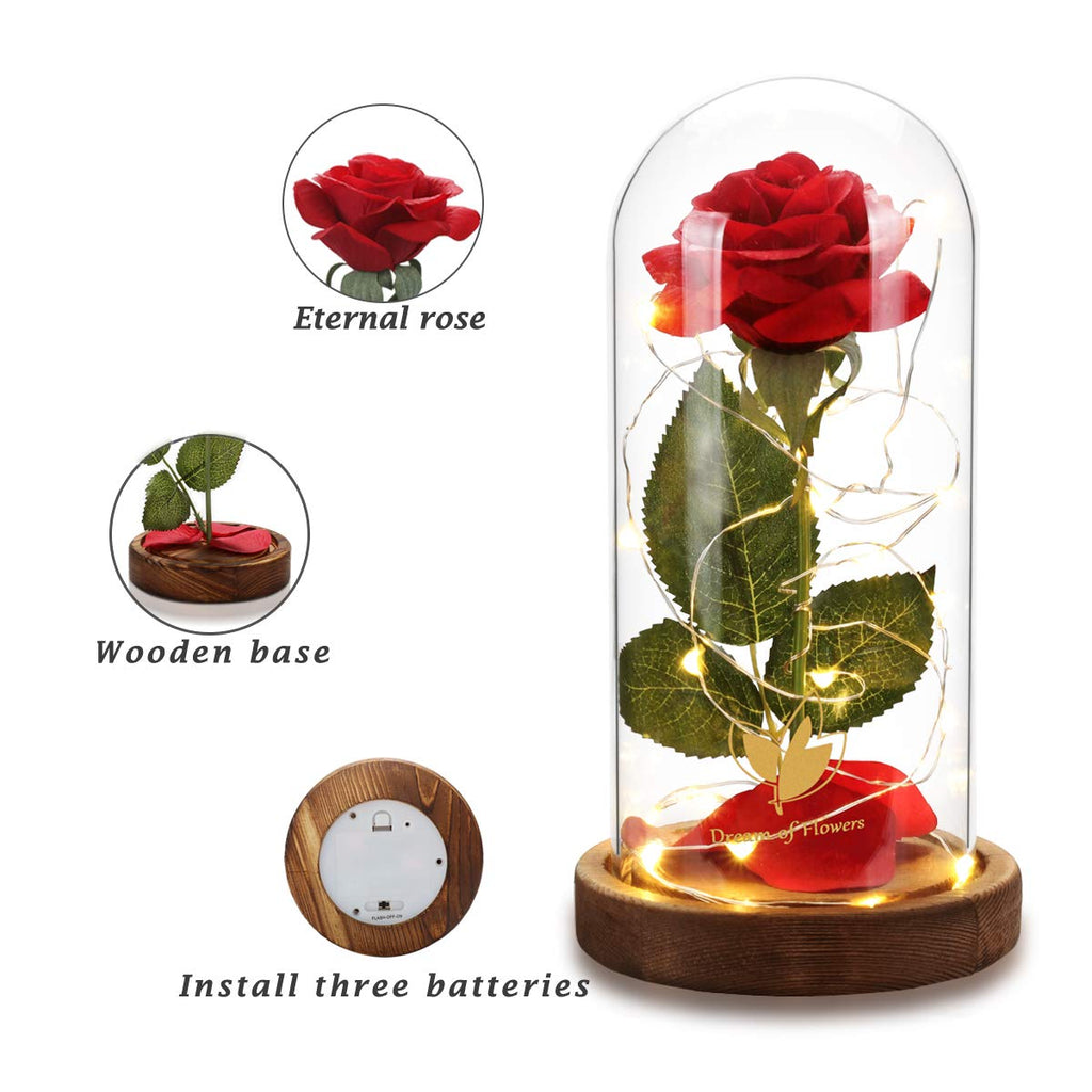 Beauty and The Beast Rose for Mom, Birthday Gifts for Women, Light Up Roses, Glass Dome Rose with LED Lights, Red Roses, Women's Gift for Mom Wife Grandmother