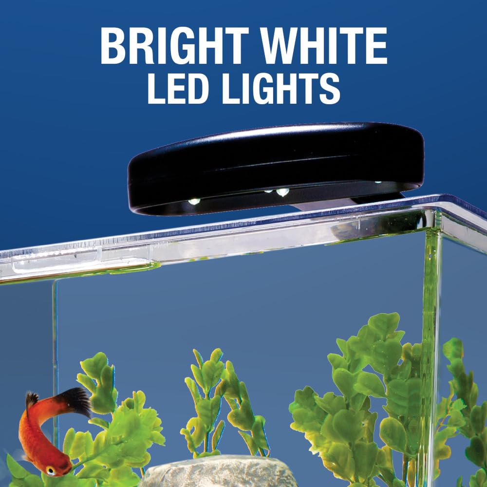 Tetra Bubbling LED Aquarium Kit 1 Gallon, Hexagon Shape, With Color-Changing Light Disc