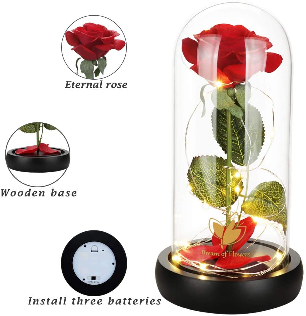 Beauty and The Beast Rose for Mom, Birthday Gifts for Women, Light Up Roses, Glass Dome Rose with LED Lights, Red Roses, Women's Gift for Mom Wife Grandmother