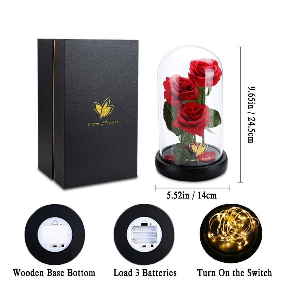 Beauty and The Beast Rose for Mom, Birthday Gifts for Women, Light Up Roses, Glass Dome Rose with LED Lights, Red Roses, Women's Gift for Mom Wife Grandmother