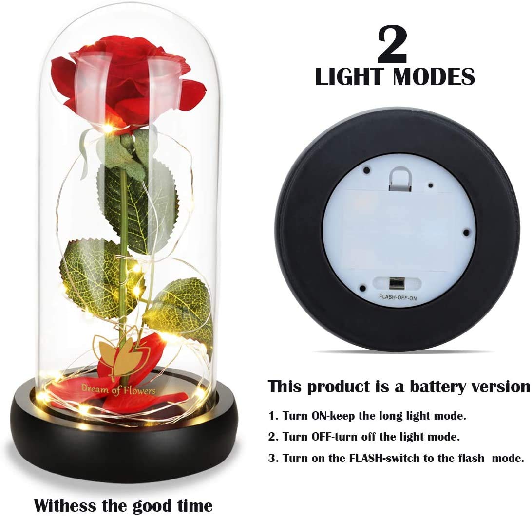 Beauty and The Beast Rose for Mom, Birthday Gifts for Women, Light Up Roses, Glass Dome Rose with LED Lights, Red Roses, Women's Gift for Mom Wife Grandmother
