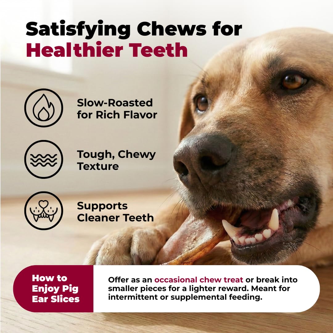 Best Pet Supplies GigaBite Roasted Pig Ears for Dogs - Natural Dog Chews, Roasted Pigs Ears, Safe for Puppies and Aggressive Chewers, Cleans Teeth and Gums - Slivers, 1.8 Pounds