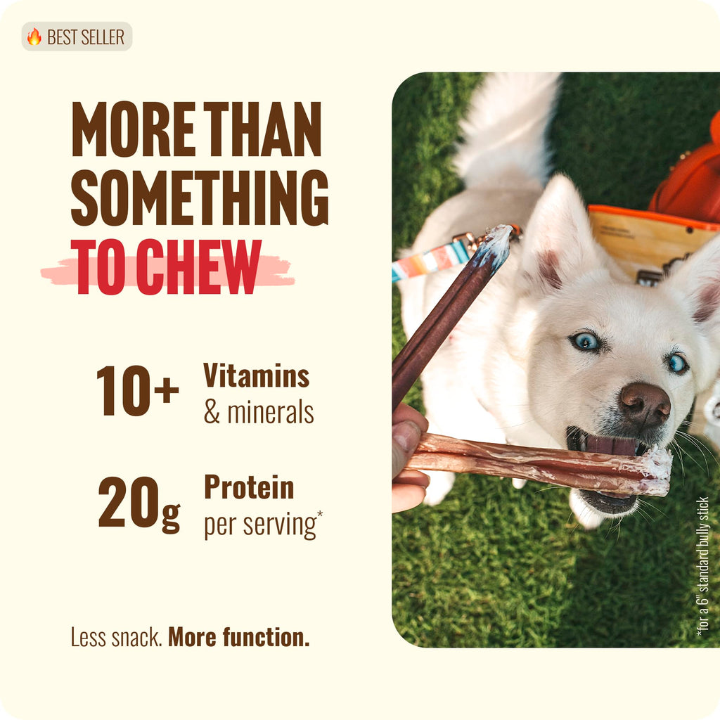 Natural Farm Bully Sticks (6 Inch, 15 Count), Single Ingredient: 100% Beef Chews, Grass-Fed, Non-GMO, Grain-Free, Fully Digestible Treats for Puppies, Small or Senior Dog