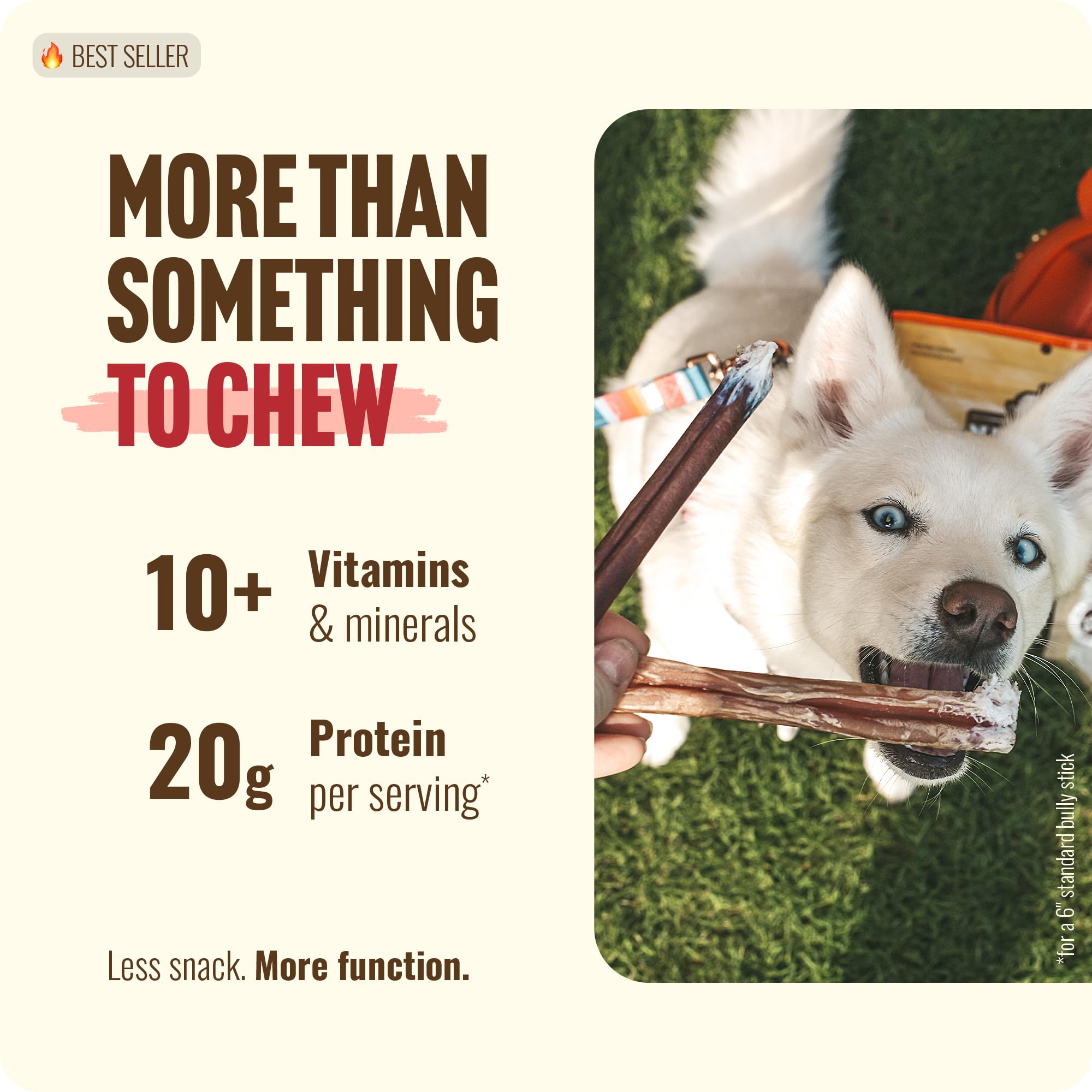 Natural Farm Bully Sticks (6 Inch, 15 Count), Single Ingredient: 100% Beef Chews, Grass-Fed, Non-GMO, Grain-Free, Fully Digestible Treats for Puppies, Small or Senior Dog