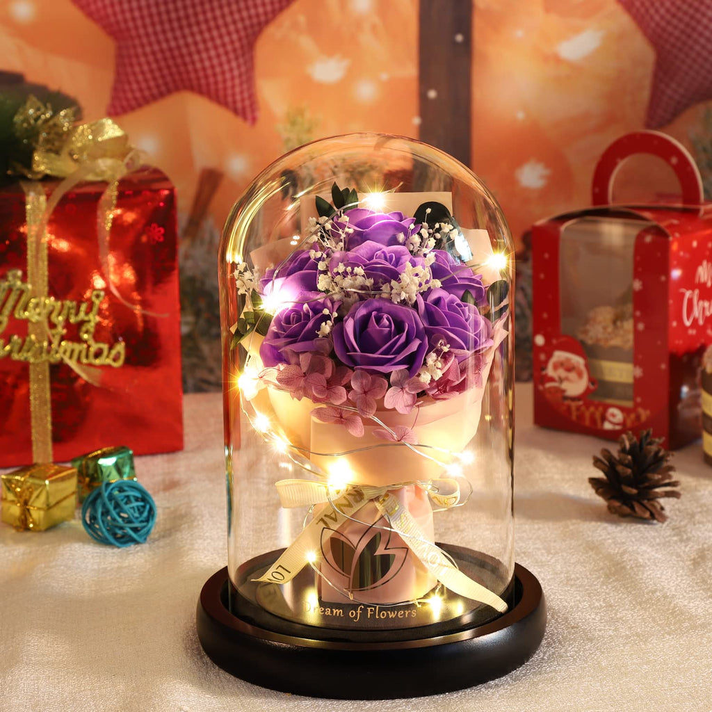 Beauty and The Beast Rose for Mom, Birthday Gifts for Women, Light Up Roses, Glass Dome Rose with LED Lights, Red Roses, Women's Gift for Mom Wife Grandmother