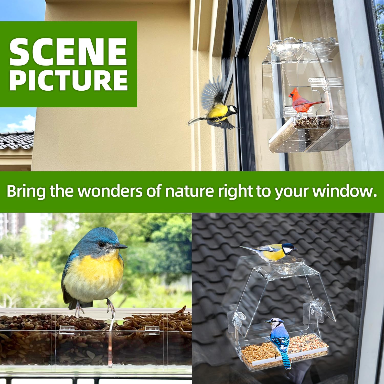 WENMIXER Window Bird Feeder with Non-Marking Self-Adhesive Hooks, Clear and Transparent, Outdoor Wild Bird Watching Gift, Garden Decor (Standard)