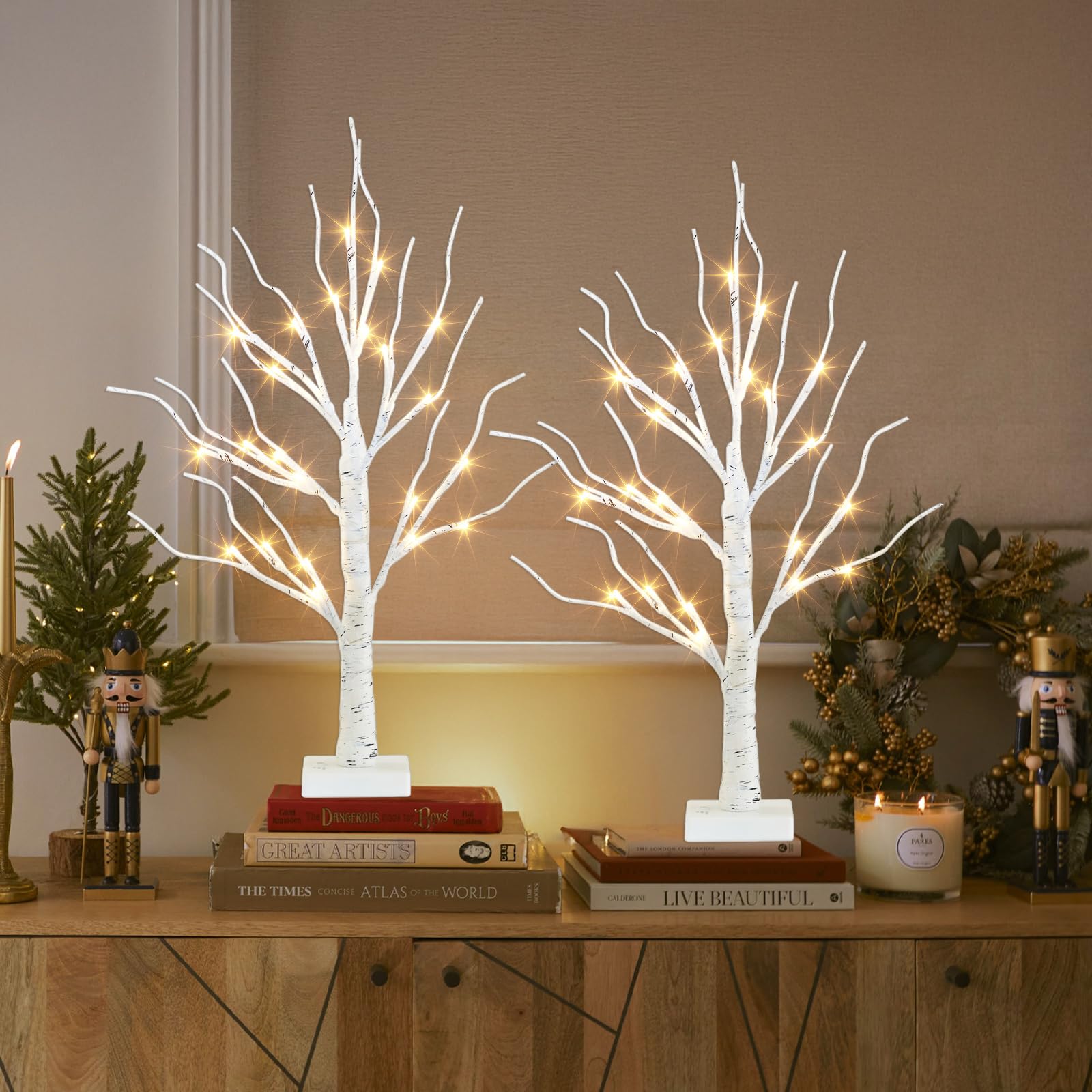 PEIDUO Home Decor, 2FT Birch Tree with LED Lights, Warm White Light up Tree Lamp, Artificial Trees for Home Table Inside, Battery Powered, Timer (2PK)
