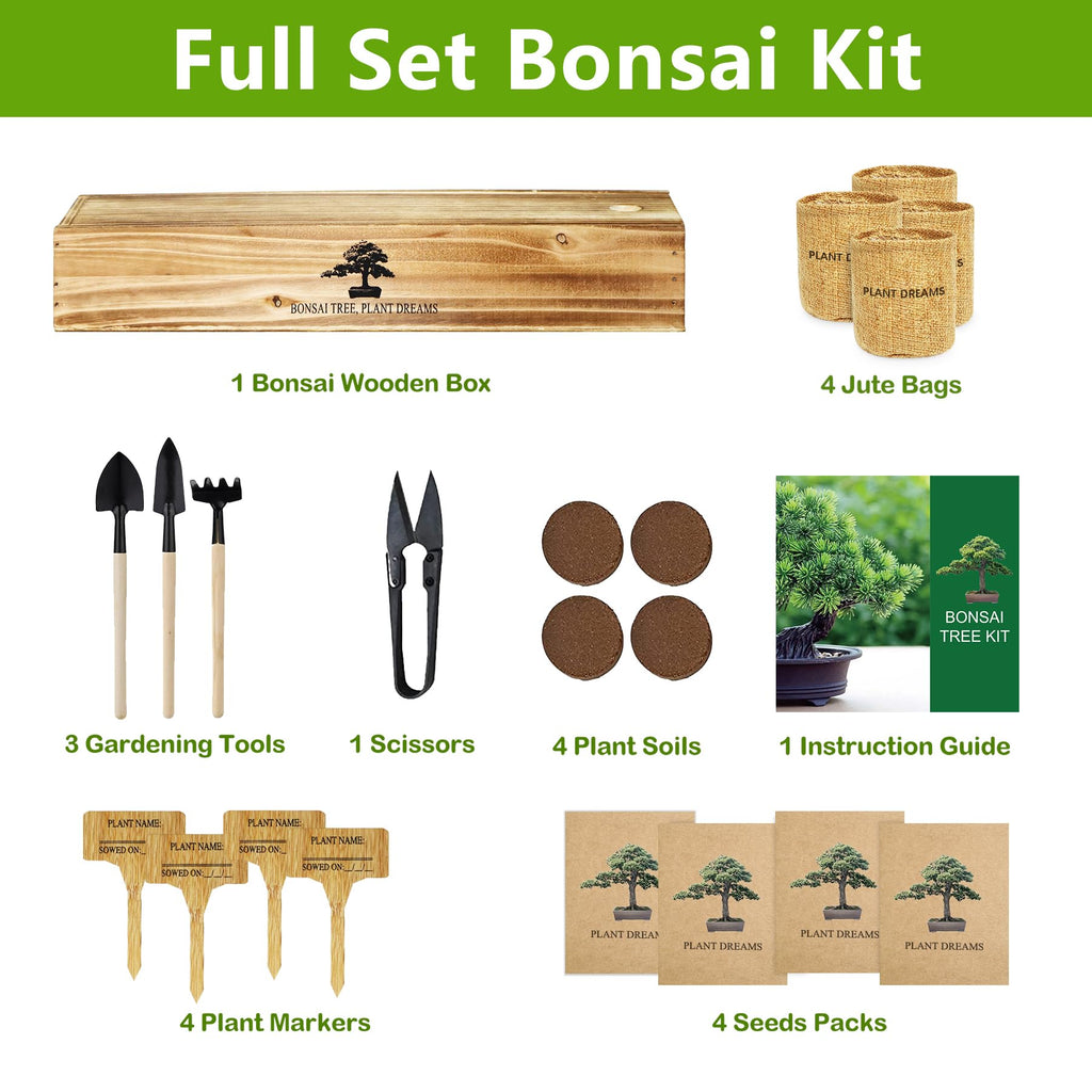 Bonsai Tree Kit, Bonsai Starter Kit with Seeds & Tools, Tree Live Plants Indoor, Gardening Gifts for Women Men Mom Father Plant Lover, Birthday Gifts for Women, Father Day Gifts