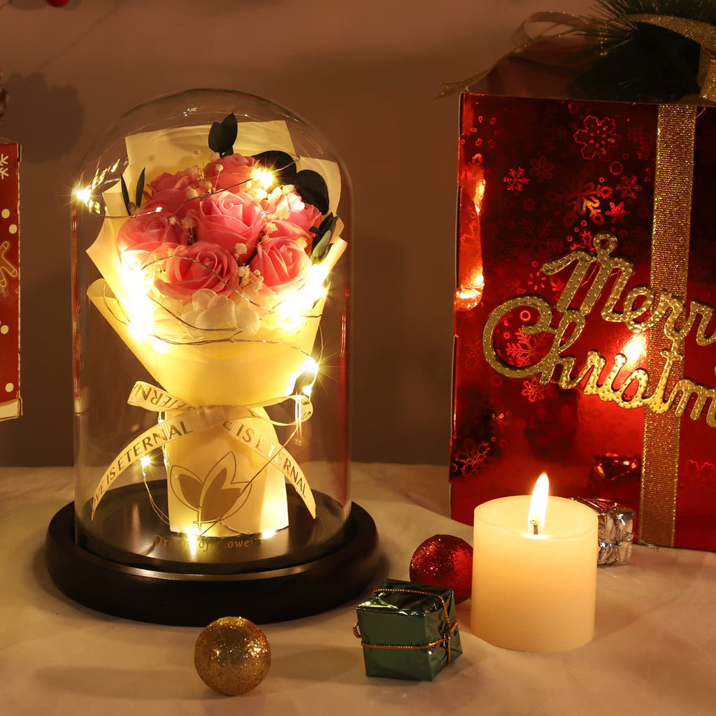 Beauty and The Beast Rose for Mom, Birthday Gifts for Women, Light Up Roses, Glass Dome Rose with LED Lights, Red Roses, Women's Gift for Mom Wife Grandmother