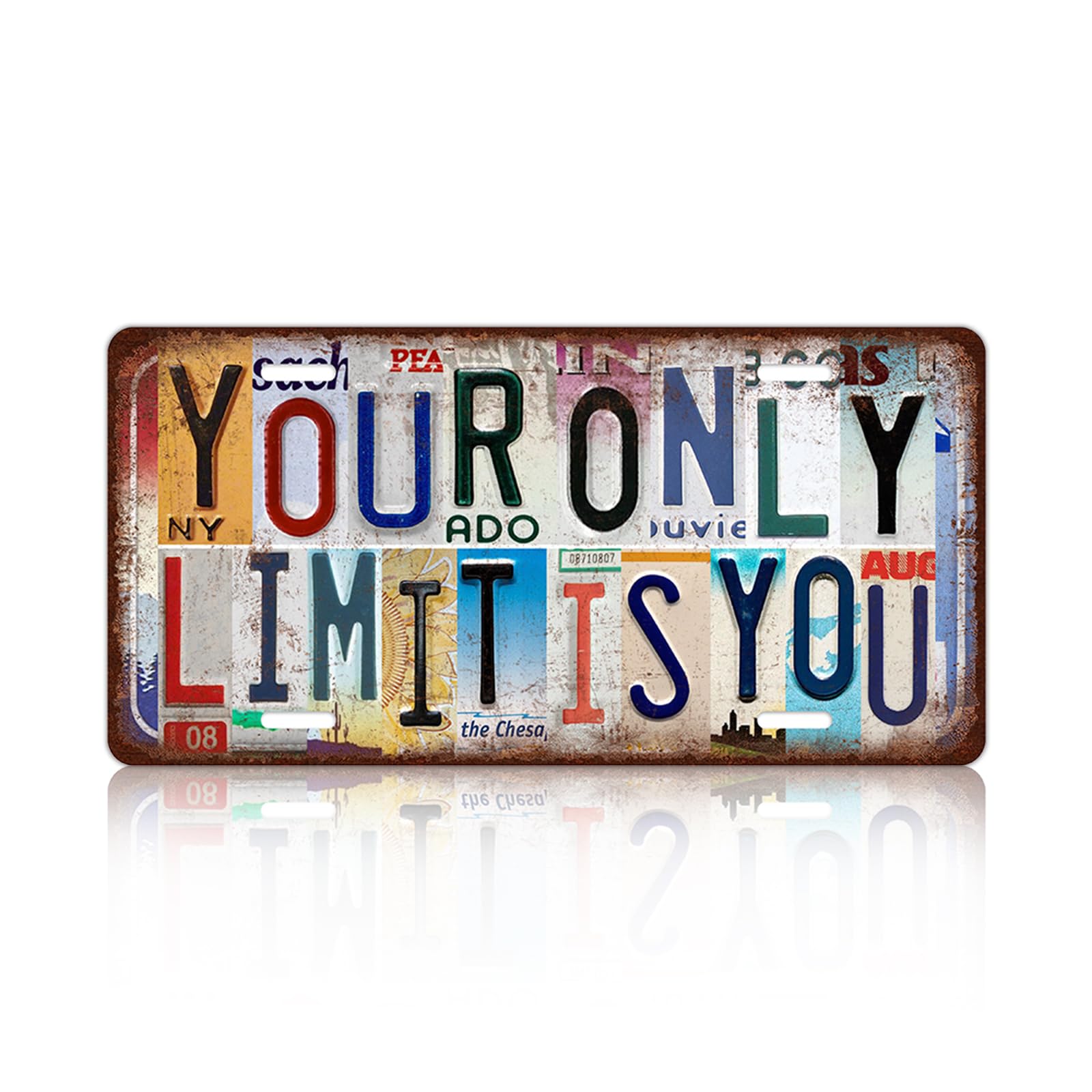 Vintage Wall Decor Grandkids The Best Part Of Growing Old License Plate Metal Sign Tin Signs Poster