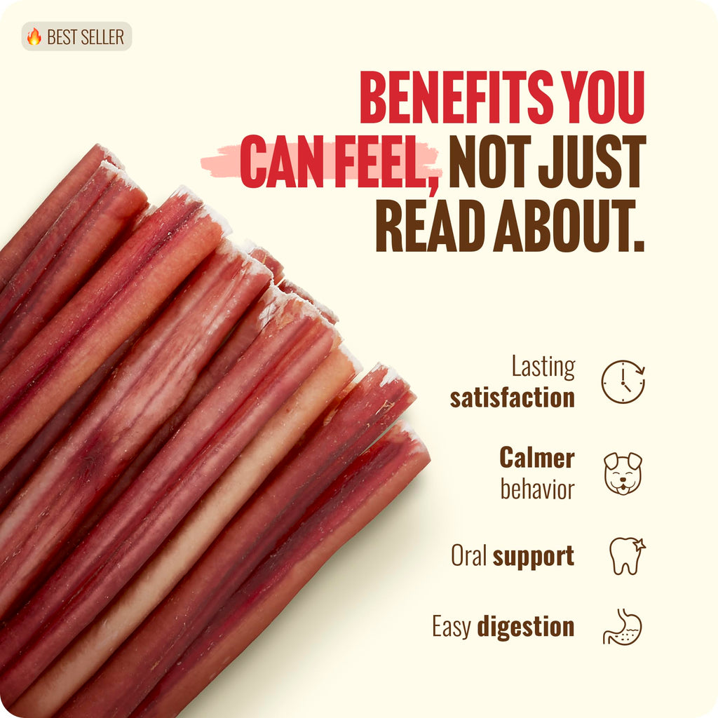 Natural Farm Bully Sticks (6 Inch, 15 Count), Single Ingredient: 100% Beef Chews, Grass-Fed, Non-GMO, Grain-Free, Fully Digestible Treats for Puppies, Small or Senior Dog