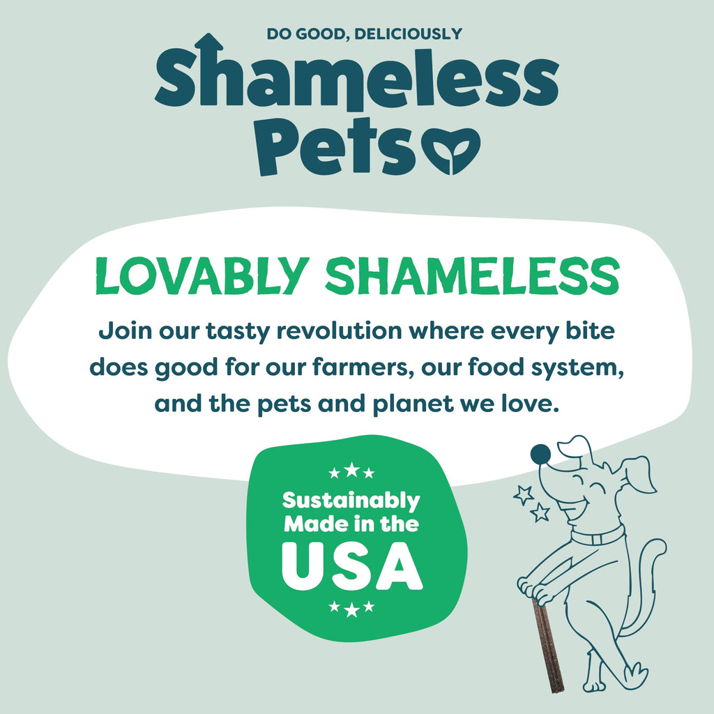 Shameless Pets Blueberry & Mint Dental Chews for Dogs, 8 Chews - Natural Dog Teeth Cleaning Treats with Fresh Breath Benefits | Grain-Free Dental Sticks for Small, Medium & Large Dogs