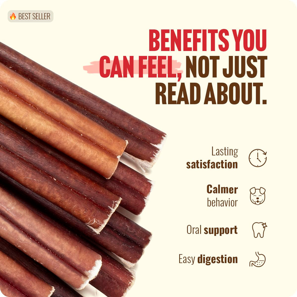 Natural Farm Bully Sticks (6 Inch, 15 Count), Single Ingredient: 100% Beef Chews, Grass-Fed, Non-GMO, Grain-Free, Fully Digestible Treats for Puppies, Small or Senior Dog