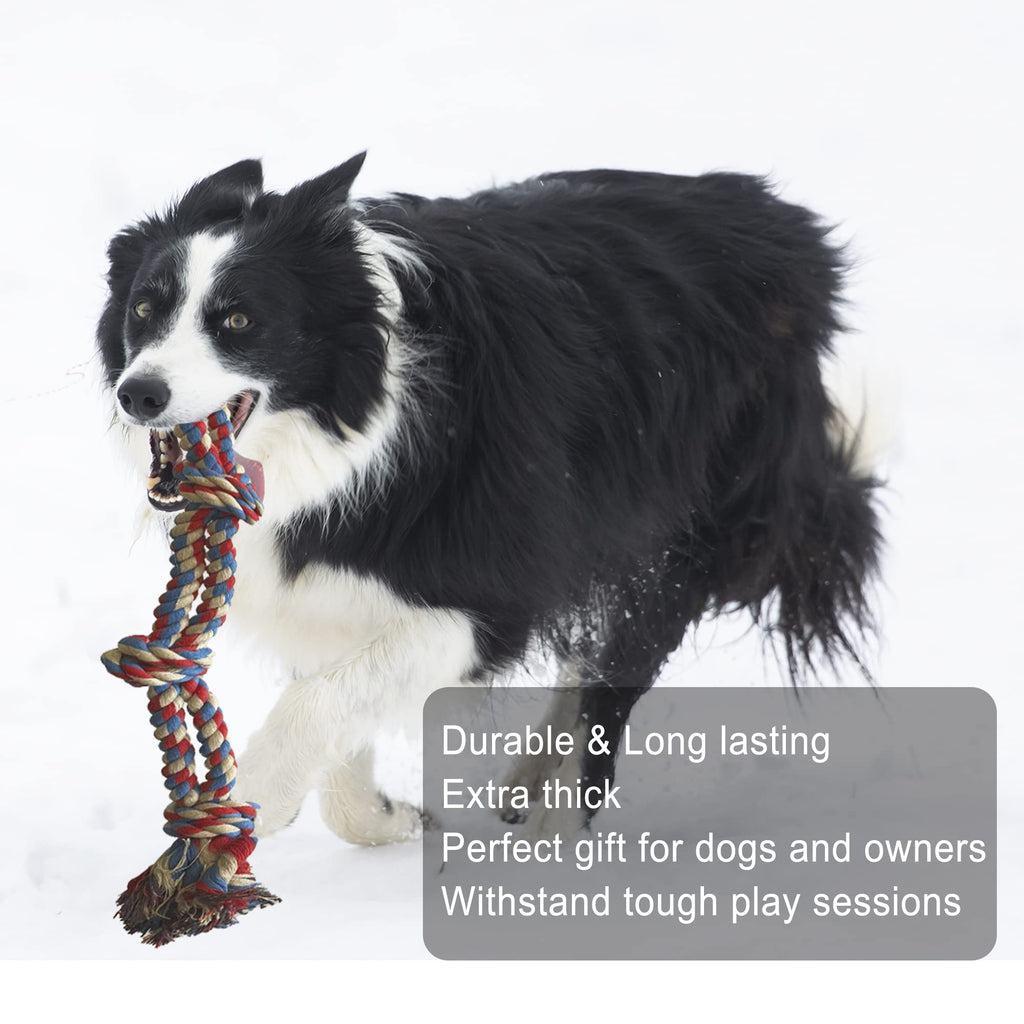 Jalousie Chew Toy Natural Rubber chew Toy for Interactive Play Toy Ball Rope Rubber Value Set for Small to Medium Breed Dog mutt Puppy
