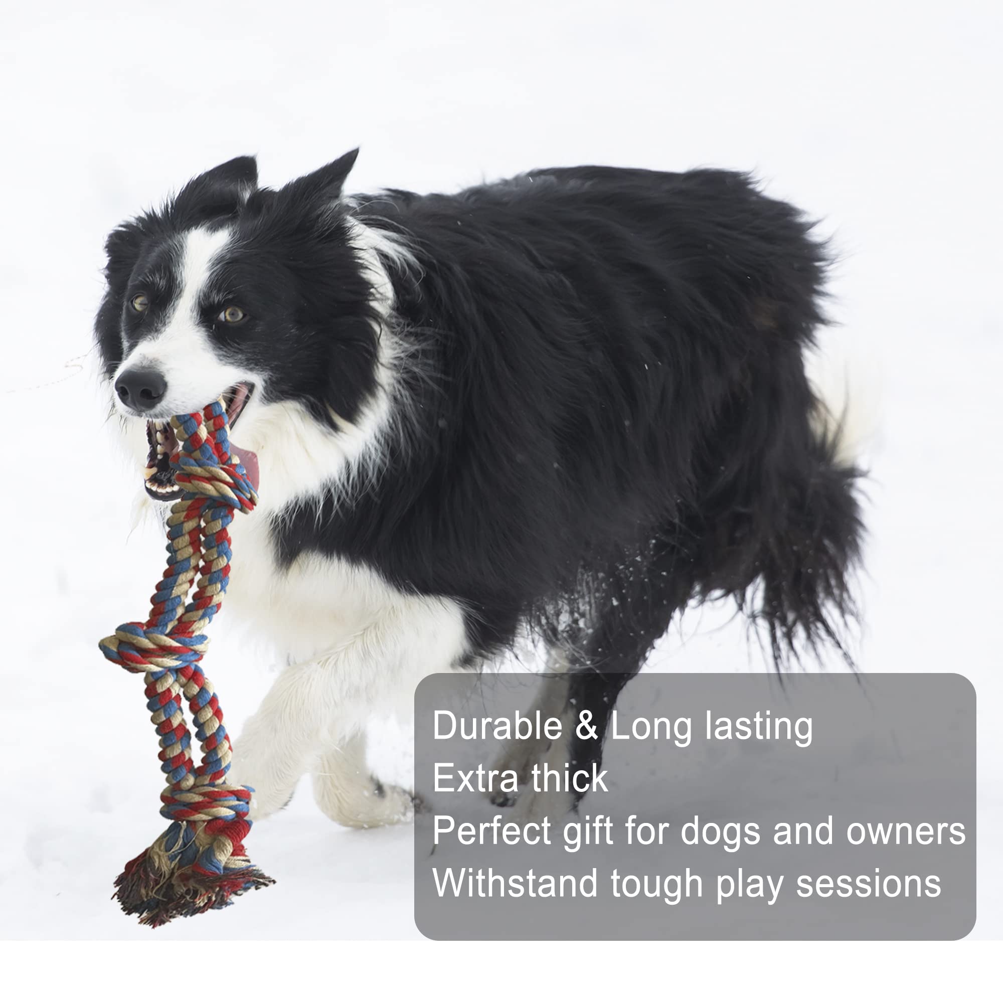 Jalousie Chew Toy Natural Rubber chew Toy for Interactive Play Toy Ball Rope Rubber Value Set for Small to Medium Breed Dog mutt Puppy