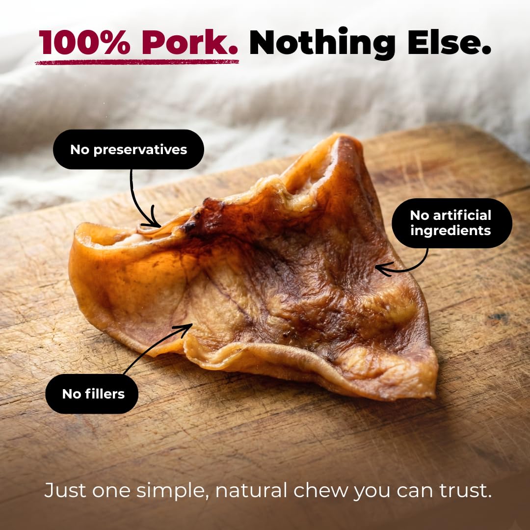 Best Pet Supplies GigaBite Roasted Pig Ears for Dogs - Natural Dog Chews, Roasted Pigs Ears, Safe for Puppies and Aggressive Chewers, Cleans Teeth and Gums - Slivers, 1.8 Pounds