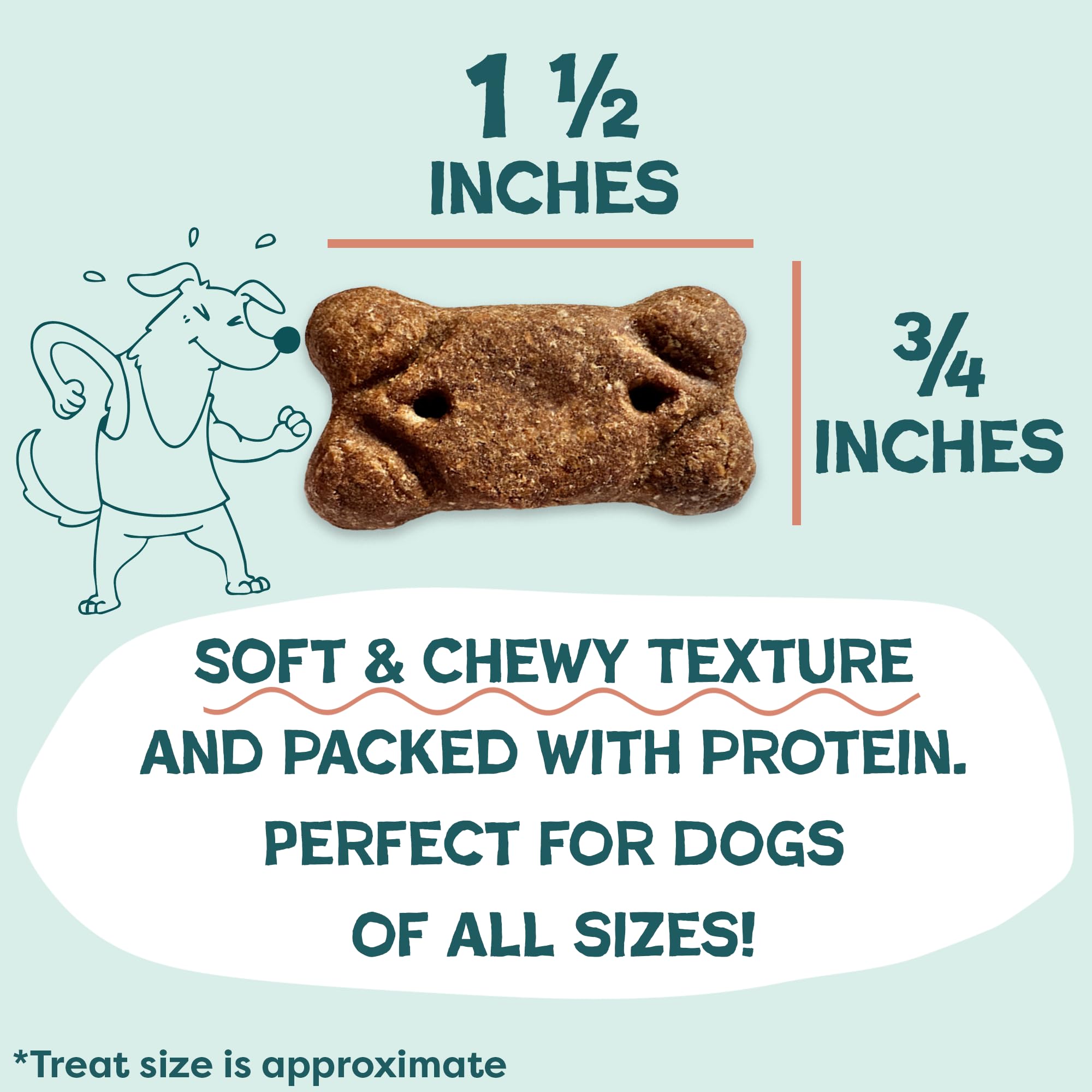 Shameless Pets Soft Dog Treats – Bacon Me Crazy Meaty Tenders, Soft & Chewy Treats for Dogs, Real Bacon 1st Ingredient, Grain Free, Healthy Treats for Small, Medium & Large Dogs, 8oz