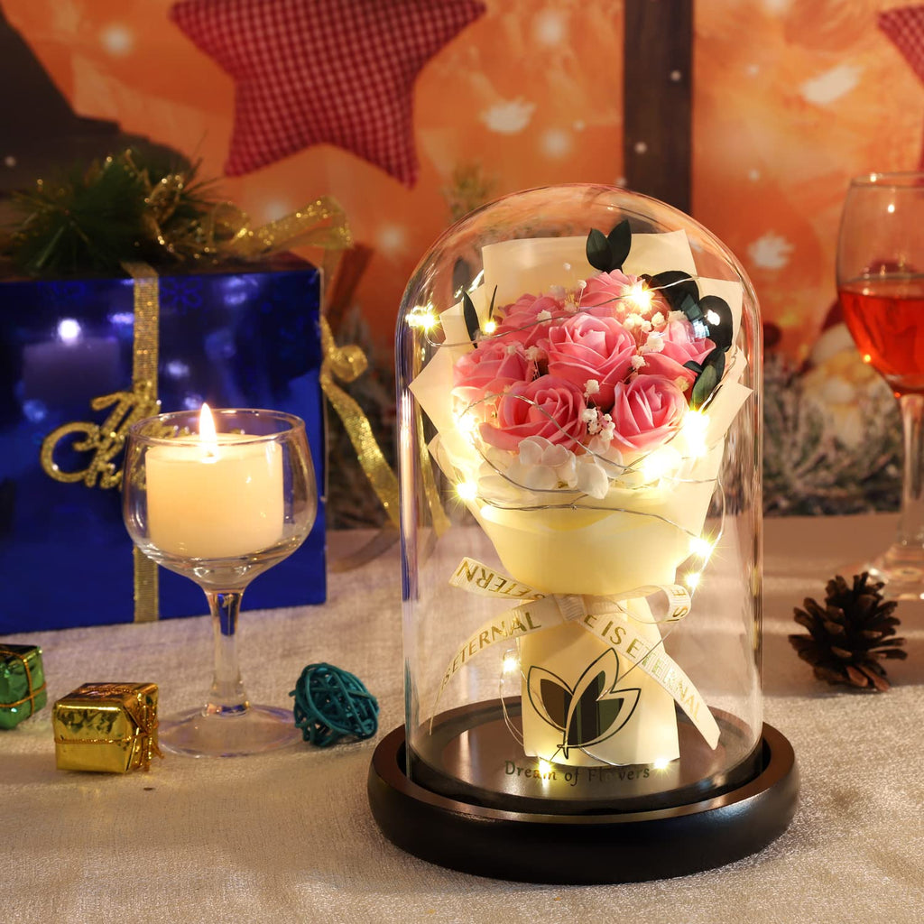 Beauty and The Beast Rose for Mom, Birthday Gifts for Women, Light Up Roses, Glass Dome Rose with LED Lights, Red Roses, Women's Gift for Mom Wife Grandmother