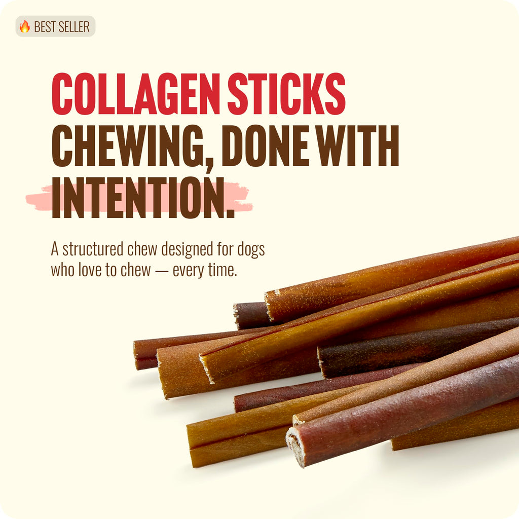 Natural Farm Bully Sticks (6 Inch, 15 Count), Single Ingredient: 100% Beef Chews, Grass-Fed, Non-GMO, Grain-Free, Fully Digestible Treats for Puppies, Small or Senior Dog