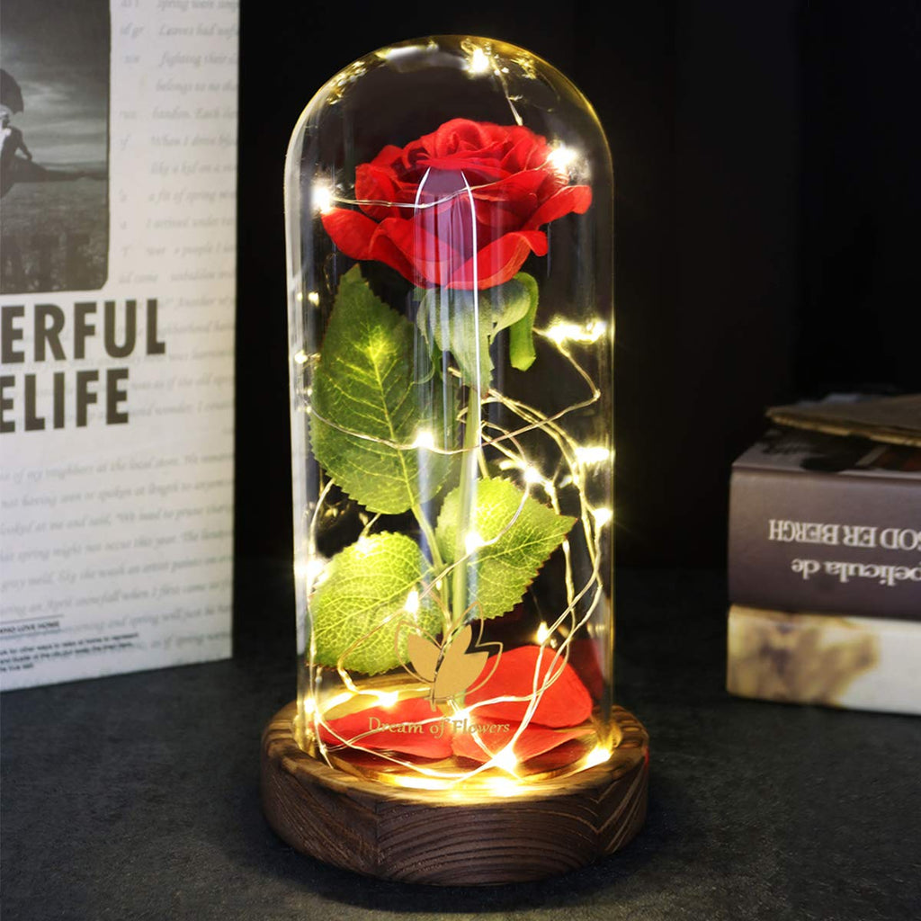 Beauty and The Beast Rose for Mom, Birthday Gifts for Women, Light Up Roses, Glass Dome Rose with LED Lights, Red Roses, Women's Gift for Mom Wife Grandmother