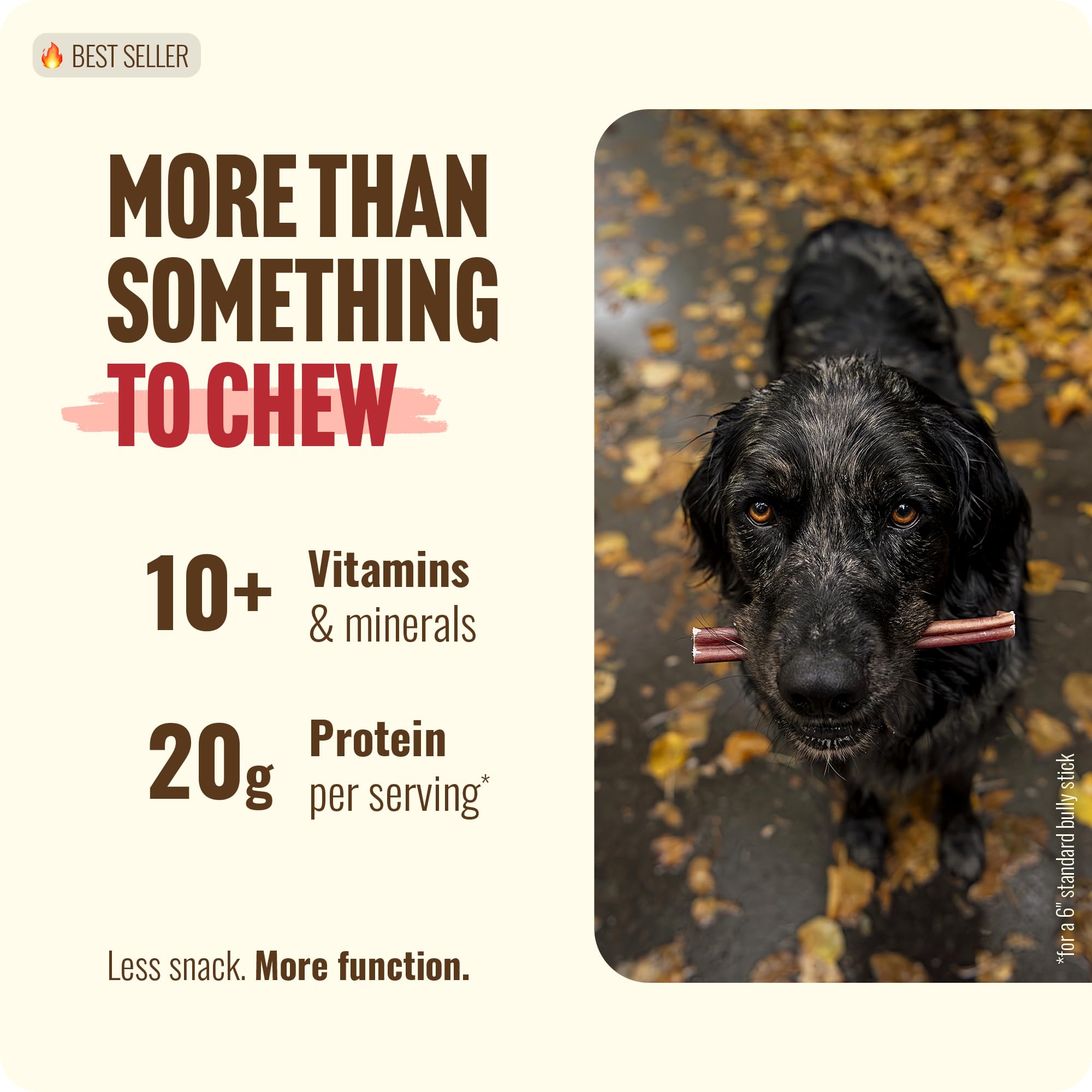 Natural Farm Bully Sticks (6 Inch, 15 Count), Single Ingredient: 100% Beef Chews, Grass-Fed, Non-GMO, Grain-Free, Fully Digestible Treats for Puppies, Small or Senior Dog