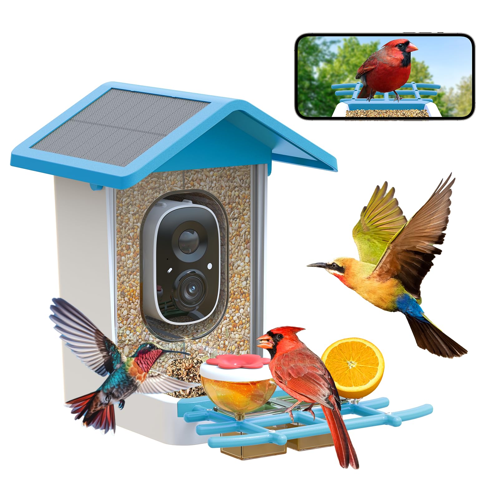 Smart Bird Feeder with Camera: Solar Powered Birdhouse with AI Recognition, Wireless Bird House with Camera for Outdoor, Unique Birthday Gifts for Mom Dad