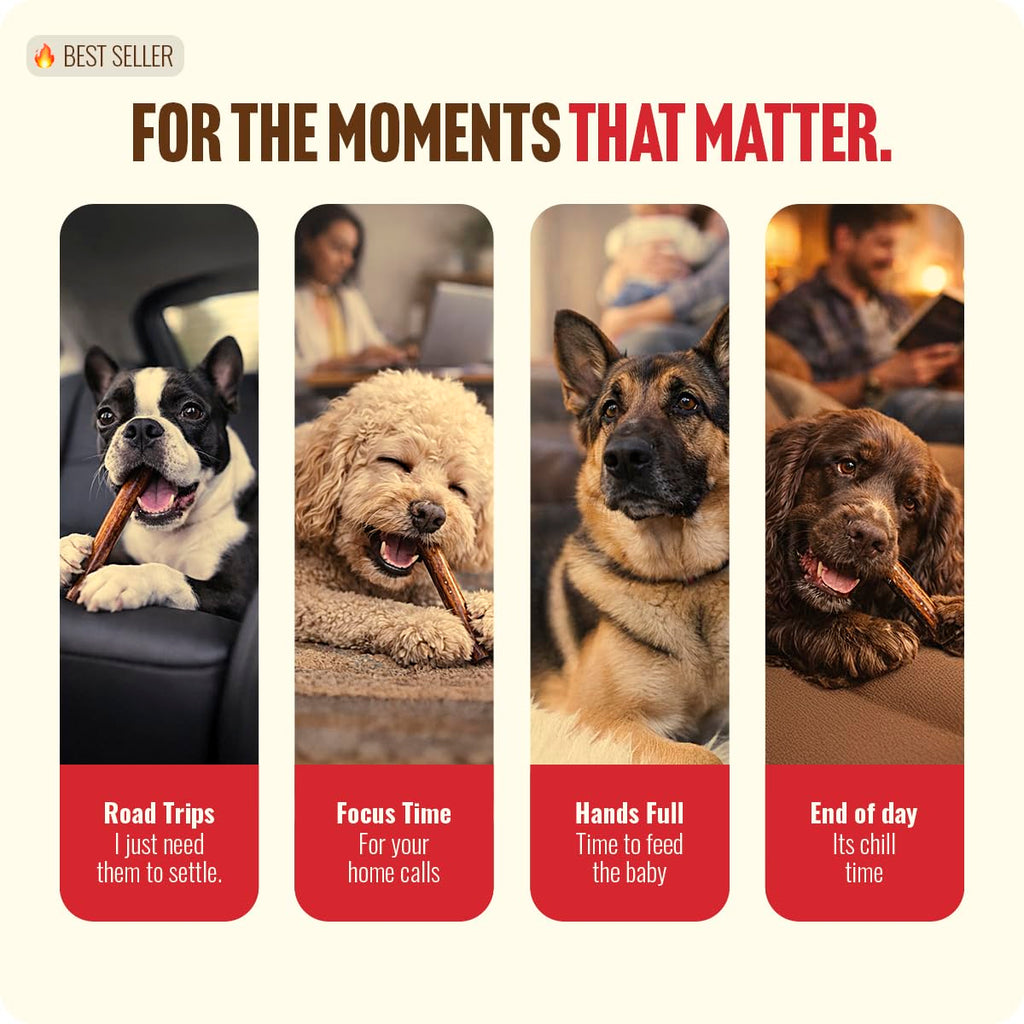 Natural Farm Bully Sticks (6 Inch, 15 Count), Single Ingredient: 100% Beef Chews, Grass-Fed, Non-GMO, Grain-Free, Fully Digestible Treats for Puppies, Small or Senior Dog