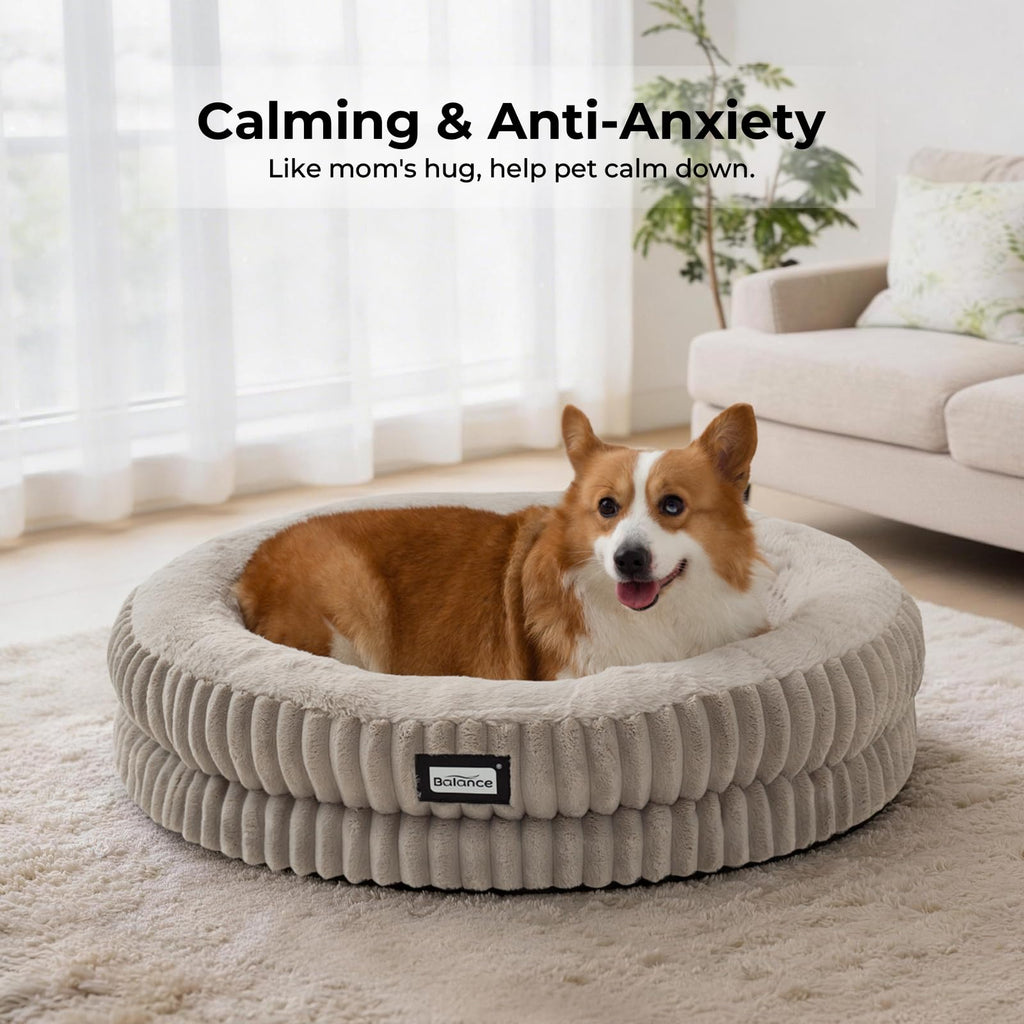 BALANCE Cat Bed Kitten Bed, Washable Round Cat Beds for Indoor Cats, Super Soft Plush Faux Fur Pet Bed for Puppy and Kitten with Anti-Slip Bottom