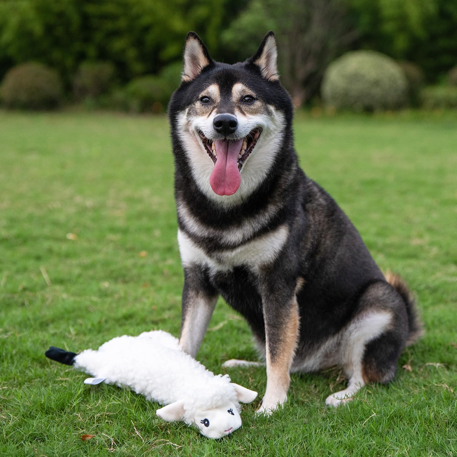 Best Pet Supplies Squeaky Dog Toys with Soft Durable Fabric for Small, Medium and Large Pets Interactive Toy for Indoor Play, Supports Active Biting and Play - 4 Figures, Small