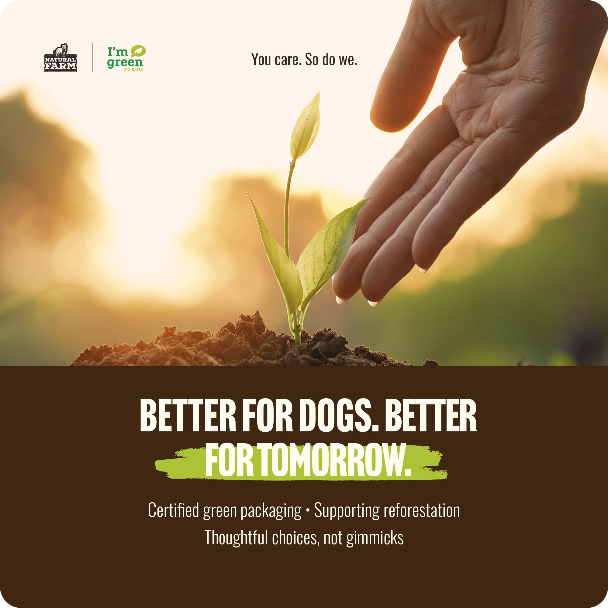 Natural Farm Bully Sticks (6 Inch, 15 Count), Single Ingredient: 100% Beef Chews, Grass-Fed, Non-GMO, Grain-Free, Fully Digestible Treats for Puppies, Small or Senior Dog