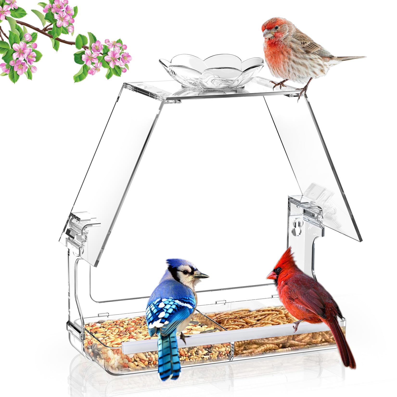 WENMIXER Window Bird Feeder with Non-Marking Self-Adhesive Hooks, Clear and Transparent, Outdoor Wild Bird Watching Gift, Garden Decor (Standard)