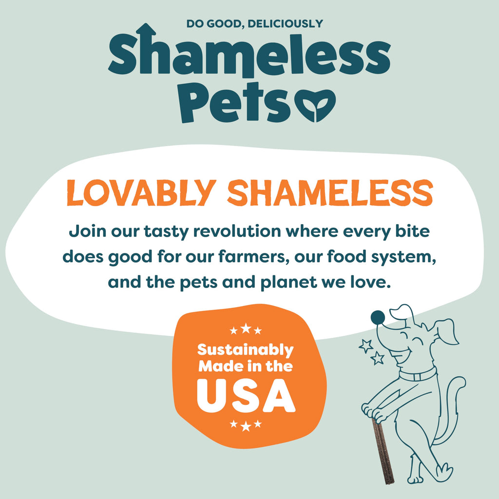 Shameless Pets Blueberry & Mint Dental Chews for Dogs, 8 Chews - Natural Dog Teeth Cleaning Treats with Fresh Breath Benefits | Grain-Free Dental Sticks for Small, Medium & Large Dogs