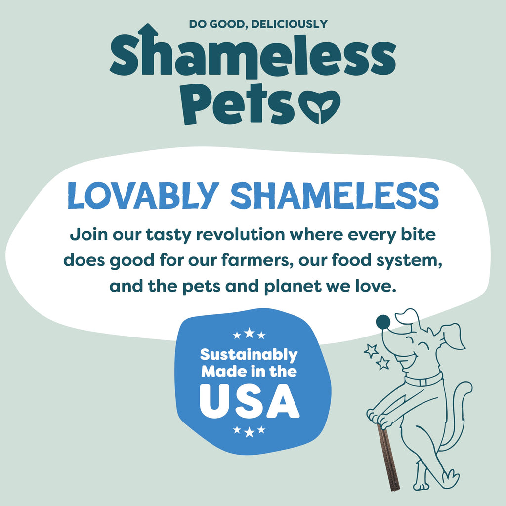 Shameless Pets Blueberry & Mint Dental Chews for Dogs, 8 Chews - Natural Dog Teeth Cleaning Treats with Fresh Breath Benefits | Grain-Free Dental Sticks for Small, Medium & Large Dogs