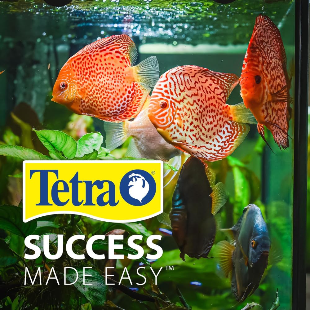 Tetra Bubbling LED Aquarium Kit 1 Gallon, Hexagon Shape, With Color-Changing Light Disc