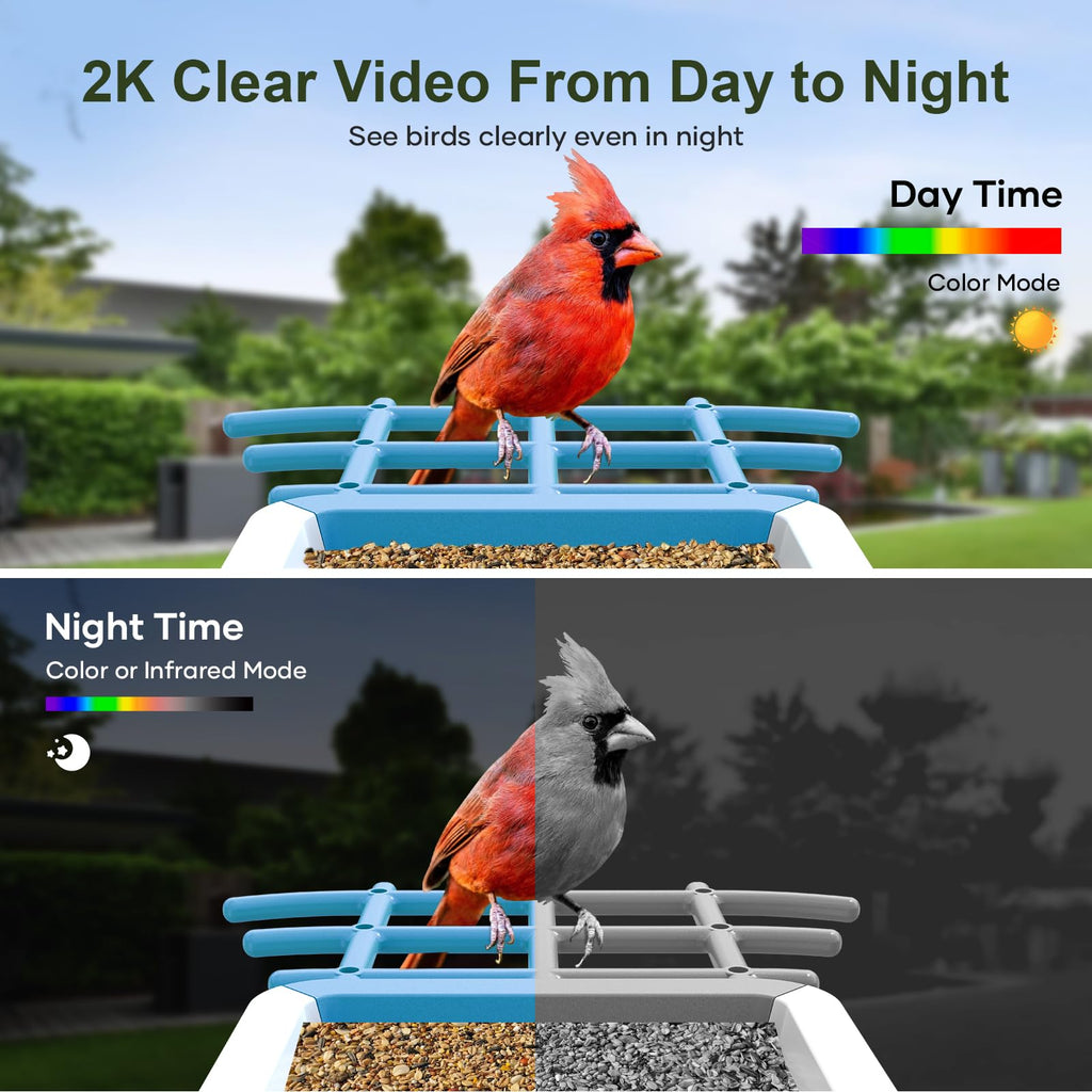 Smart Bird Feeder with Camera: Solar Powered Birdhouse with AI Recognition, Wireless Bird House with Camera for Outdoor, Unique Birthday Gifts for Mom Dad