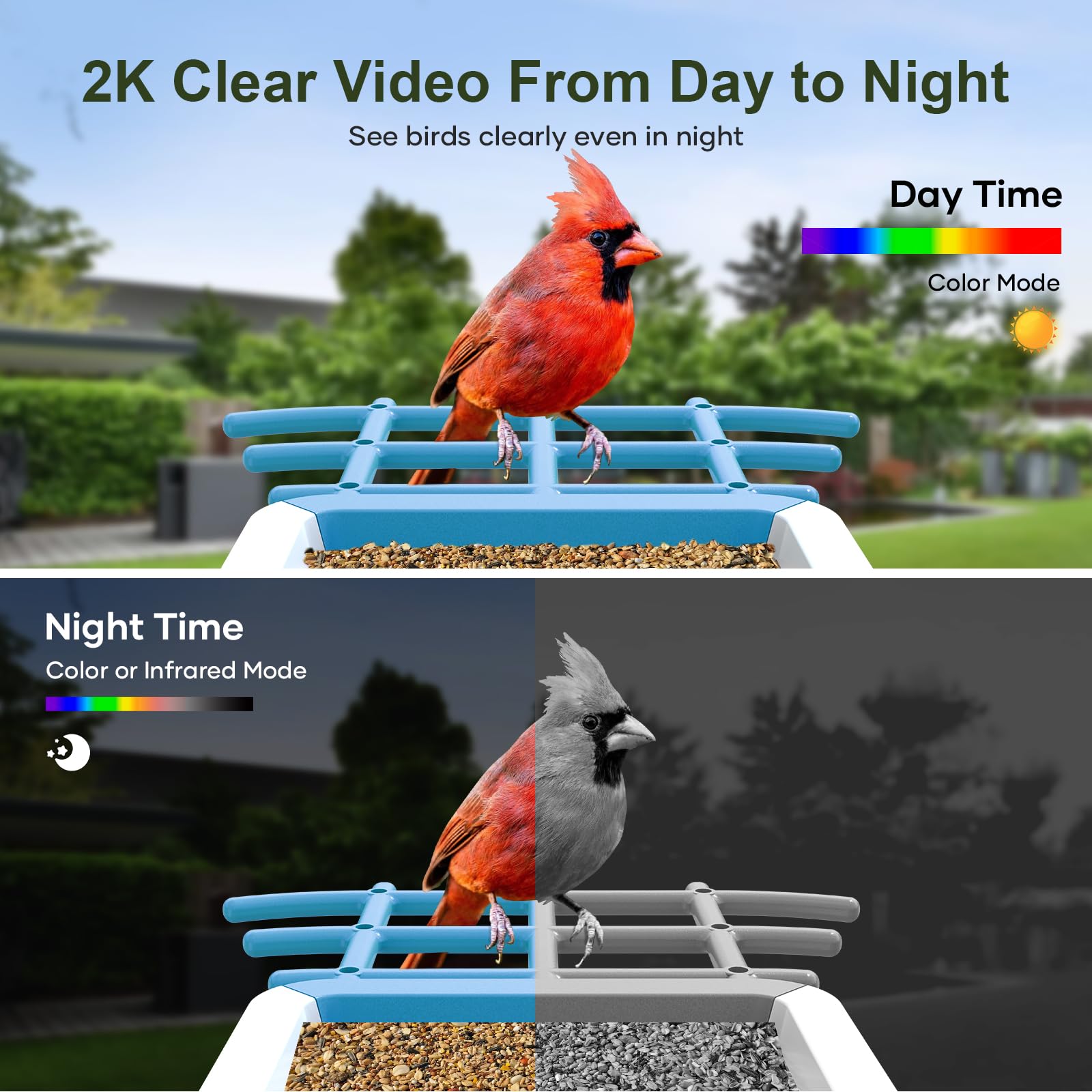 Smart Bird Feeder with Camera: Solar Powered Birdhouse with AI Recognition, Wireless Bird House with Camera for Outdoor, Unique Birthday Gifts for Mom Dad