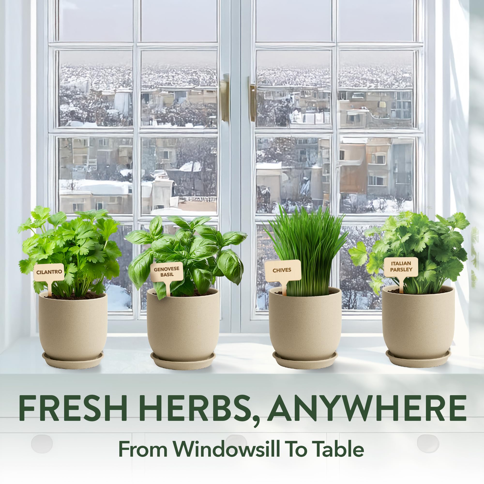 HOME GROWN Herb Garden Planter Indoor Kit – Unique Christmas Gift for Adults, Men, & Women - Grow 4 Heirloom Herb Seeds on Kitchen Window – Beginner DIY Craft & Hobby Gardening Gift for Plant Lovers