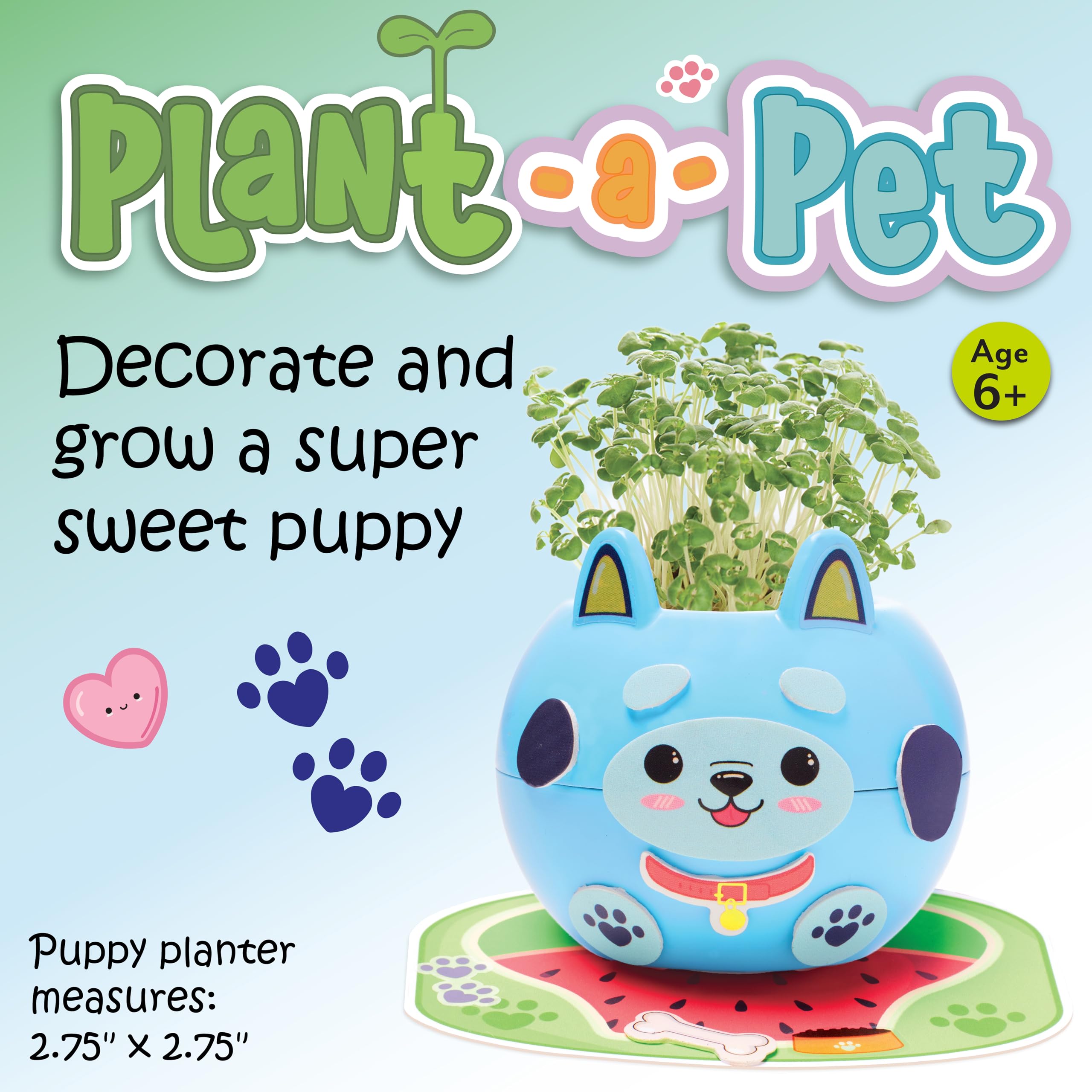 Creativity for Kids Plant-A-Pet: Kitty - Arts and Crafts for Kids, Mini Gifts for Girls and Screen Free Summer Fun for Kids, Chia Seed Plant Pet (Ages 6+)