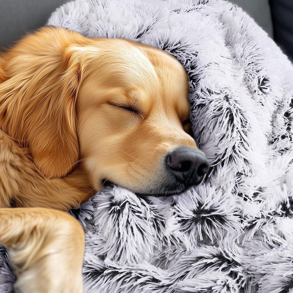 Luciphia Large Waterproof Dog Blanket for Pet Washable Liquid Proof Bed Intimacy Protection Shaggy Plush Calming Long Faux Fur Couch Cover Calming Cat Throw Blankets, Tie-dye Grey, 50" x 60"