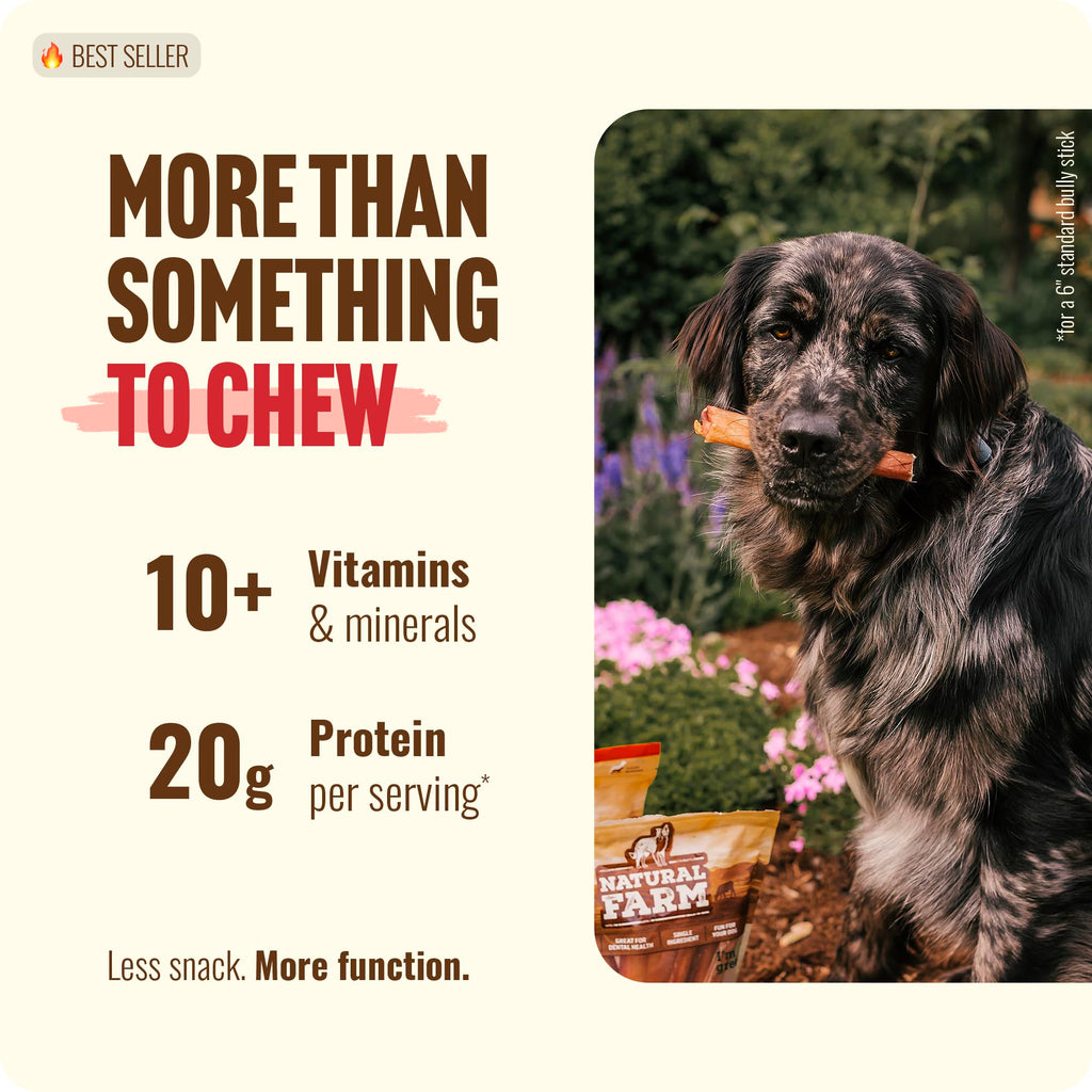 Natural Farm Bully Sticks (6 Inch, 15 Count), Single Ingredient: 100% Beef Chews, Grass-Fed, Non-GMO, Grain-Free, Fully Digestible Treats for Puppies, Small or Senior Dog