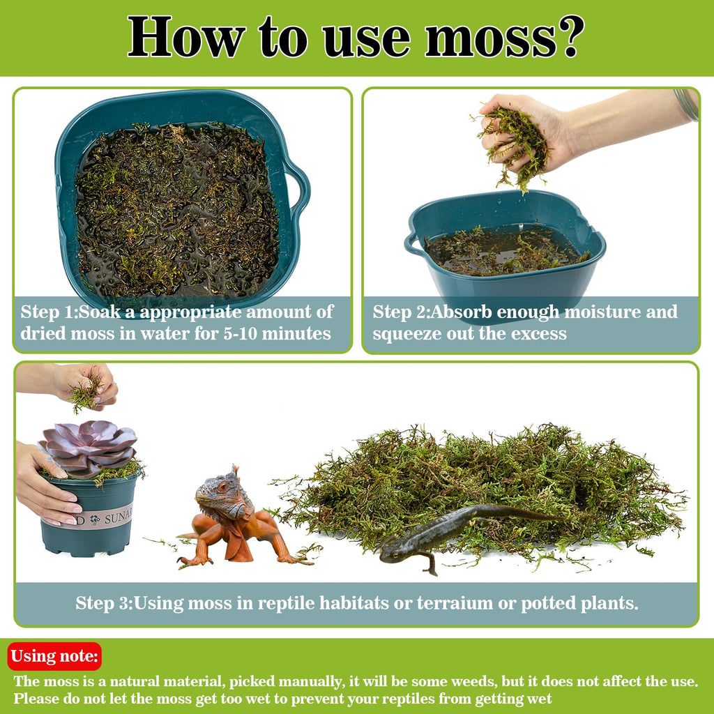 Sukh Sphagnum Moss for Reptiles - Terrarium Reptiles Moss Green Dried Peat Moss Habitat Bedding Moss for Snakes Turtle Frog Gecko and Other Reptiles Substrate (5, Ounces)