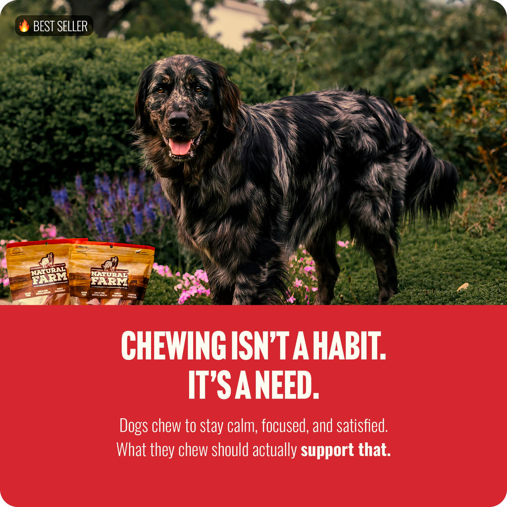 Natural Farm Bully Sticks (6 Inch, 15 Count), Single Ingredient: 100% Beef Chews, Grass-Fed, Non-GMO, Grain-Free, Fully Digestible Treats for Puppies, Small or Senior Dog